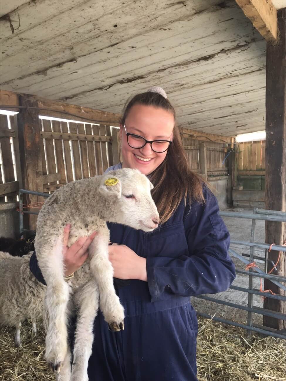 Maisie Wright with a lamb at Wigfield Farm.