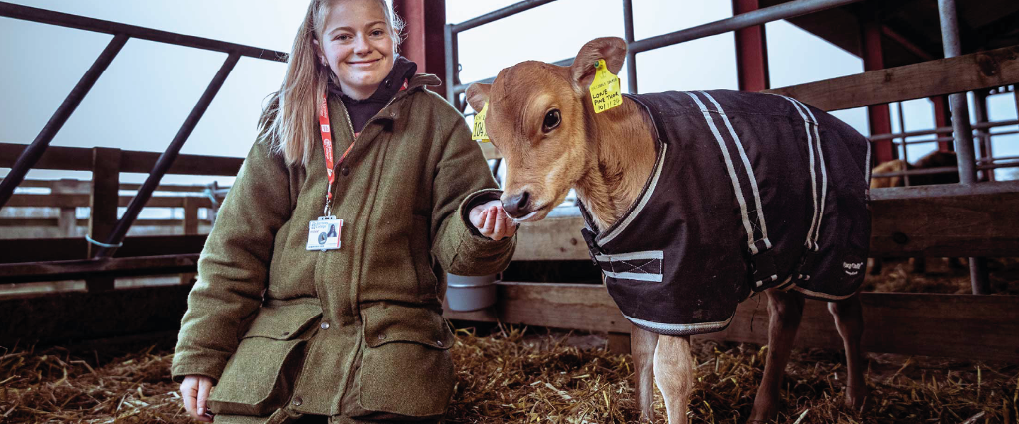 smiling student with jersey cow next to her