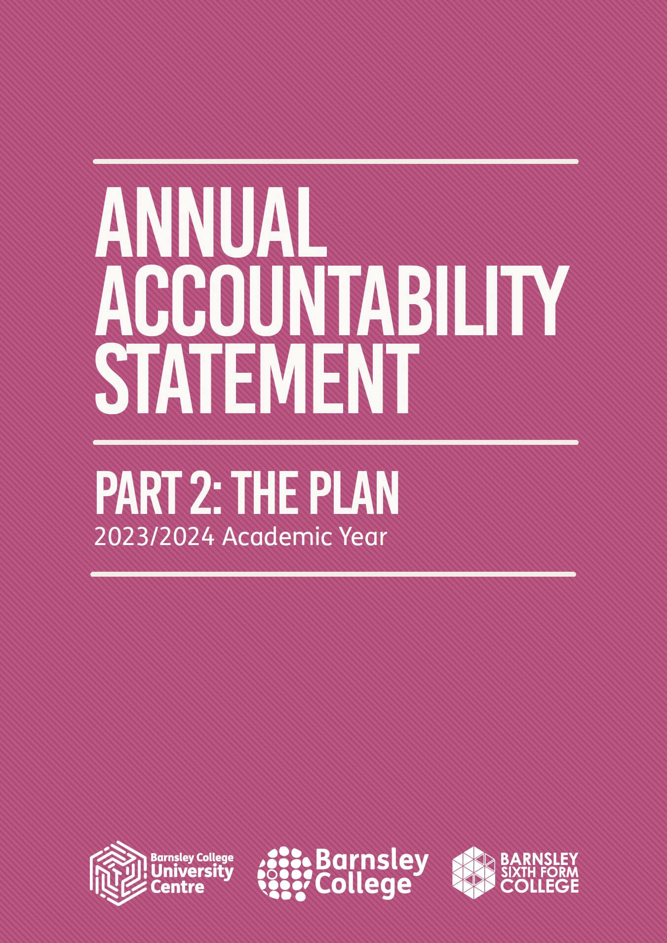 pink rectangle cover with the words annual accountability statement
