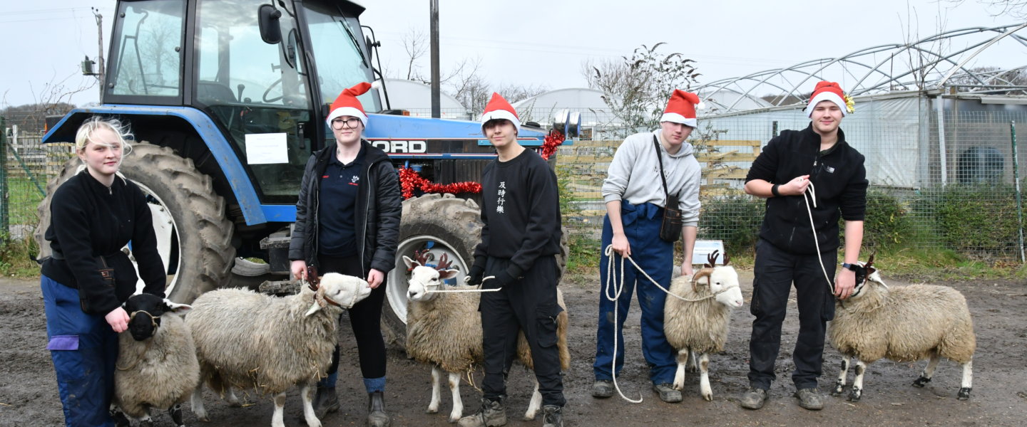A group of students in front of a tractor with sheep in reindeer antlers