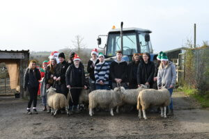A group of students with sheep in reindeer antlers 